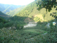 Image 04